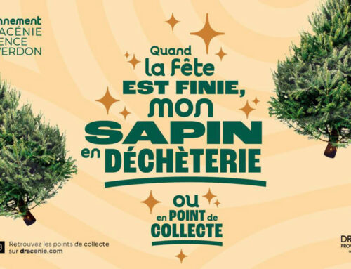 Collecte des Sapins de Noël en Dracénie : Points de Dépôt