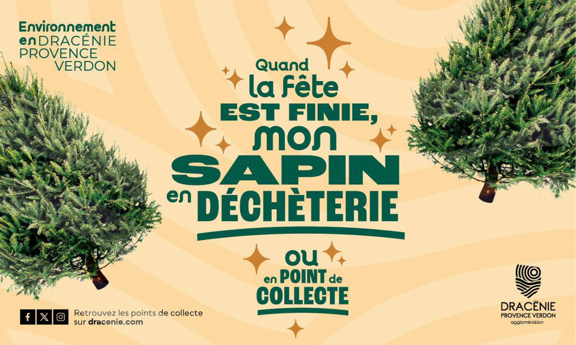 Collecte des Sapins de Noël en Dracénie : Points de Dépôt